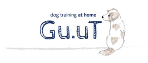 dog training at home Gu.uT