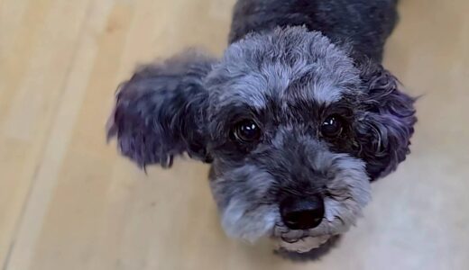 菜那ちゃん　カウンセリング