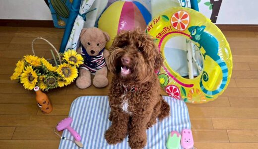 幼稚園生　エレンくん