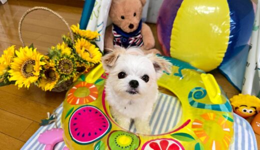 幼稚園生　リーナベルちゃん