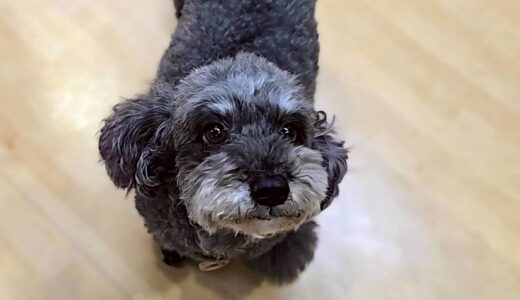 個別レッスン　菜那ちゃん