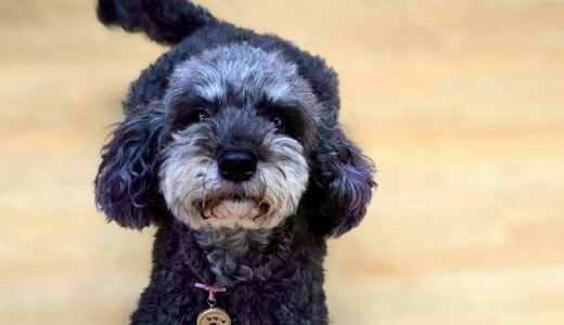 個別レッスン　菜那ちゃん