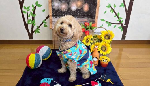 幼稚園生　トイくん