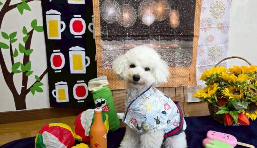 幼稚園生　クッキーくん