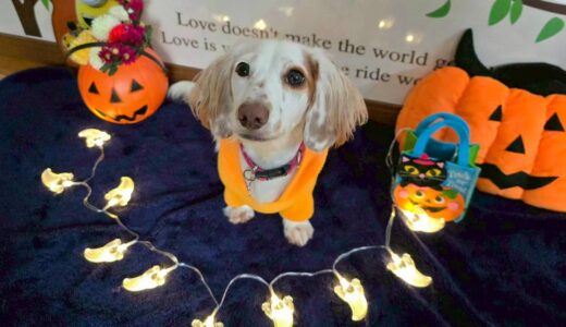 幼稚園生　幸芽ちゃん