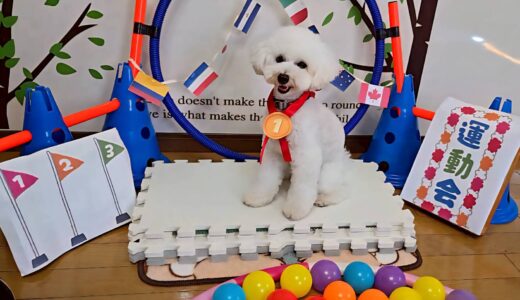 幼稚園生　クッキーくん