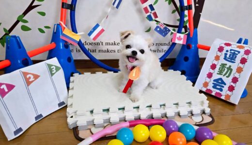 幼稚園生　リーナベルちゃん