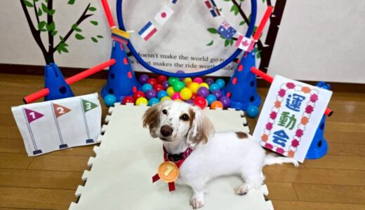 幼稚園生　幸芽ちゃん