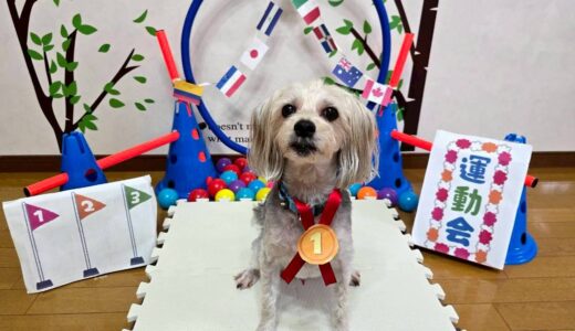 幼稚園生　ボムくん