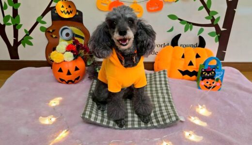 幼稚園生　菜那ちゃん