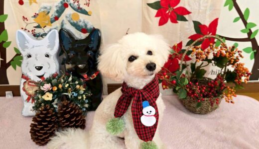 幼稚園生　クッキーくん