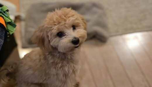 個別レッスン　レイくん