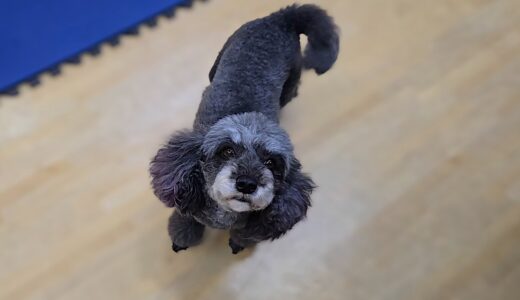 個別レッスン　菜那ちゃん　