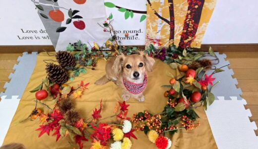 幼稚園生　ジェニファーちゃん2days