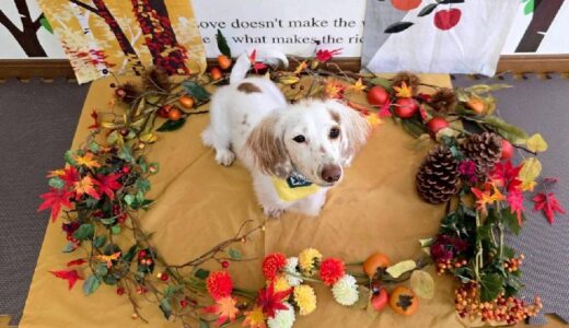 幼稚園生　幸芽ちゃん