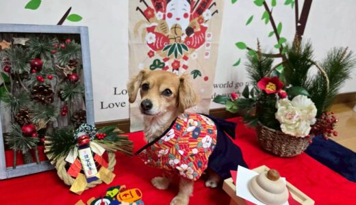 幼稚園生　ジェニファーちゃん2days