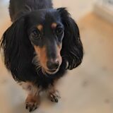 個別レッスン　ノアくん　