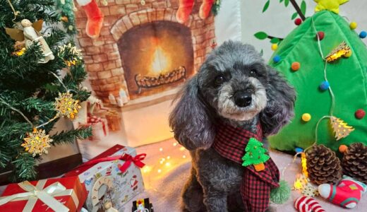 幼稚園生　菜那ちゃん