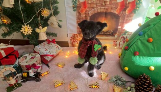 幼稚園生　ヒナちゃん2days