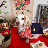 幼稚園生　幸芽ちゃん