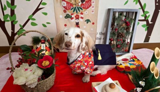 幼稚園生　幸芽ちゃん