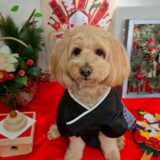 幼稚園生　トイくん