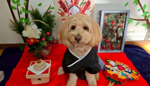 幼稚園生　トイくん