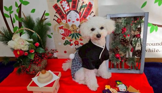 幼稚園生　クッキーくん