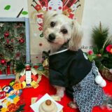 幼稚園生　ボムくん