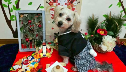 幼稚園生　ボムくん