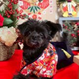 幼稚園生　ヒナちゃん 2days