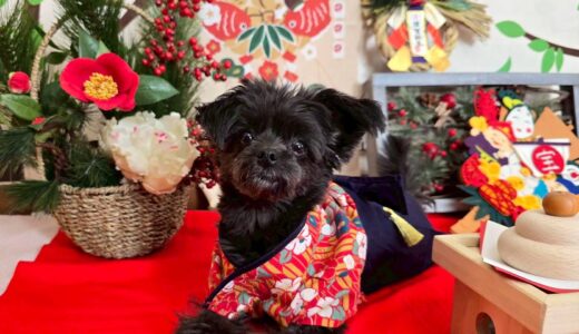 幼稚園生　ヒナちゃん 2days