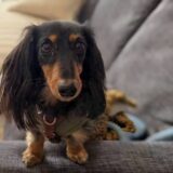 個別レッスン　ノアくん