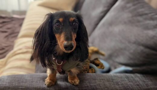 個別レッスン　ノアくん