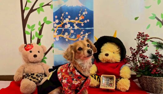 幼稚園生　ジェニファーちゃん2days