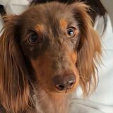 アルくん　カウンセリング