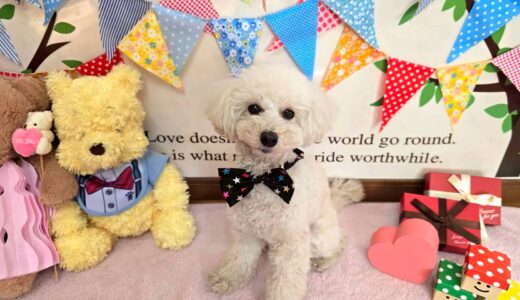 幼稚園生　クッキーくん