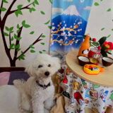 幼稚園生　クッキーくん