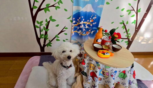 幼稚園生　クッキーくん