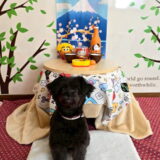 幼稚園生　ヒナちゃん