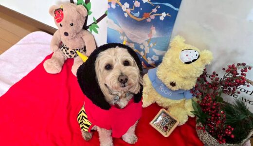 幼稚園生　トイくん