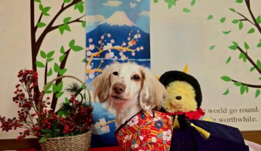 幼稚園生　幸芽ちゃん