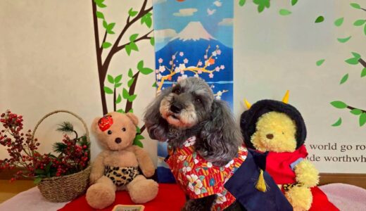 幼稚園生　菜那ちゃん