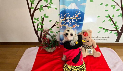 幼稚園生　ボムくん