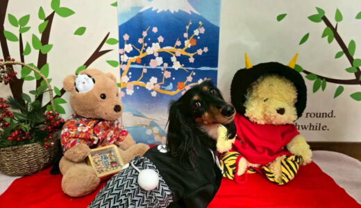 お試し入園　ノアくん