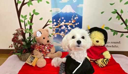 幼稚園生　ルイくん