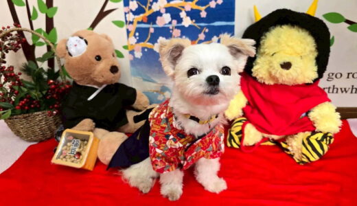 幼稚園生　リーナベルちゃん