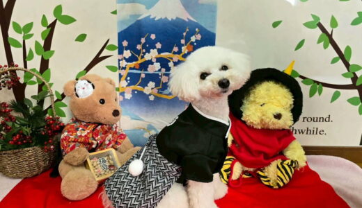 幼稚園生　クッキーくん