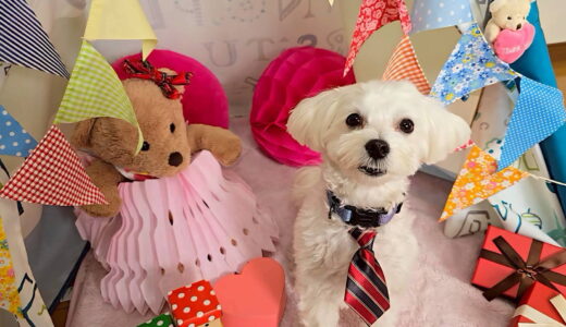 幼稚園生　ルイくん