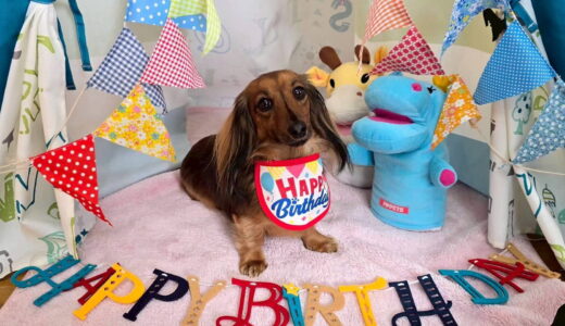 幼稚園生　ナッツちゃん